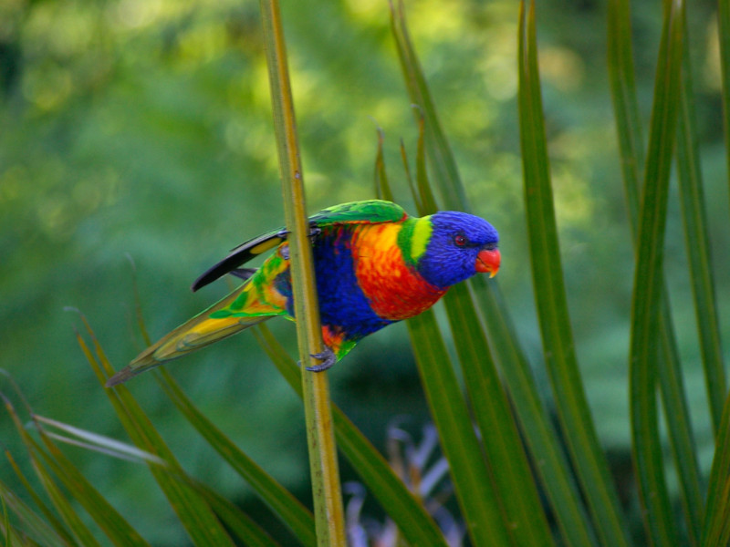 Toeren langs de oostkust