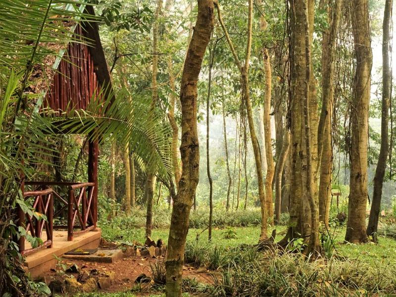 Highlights Oeganda in 2 weken