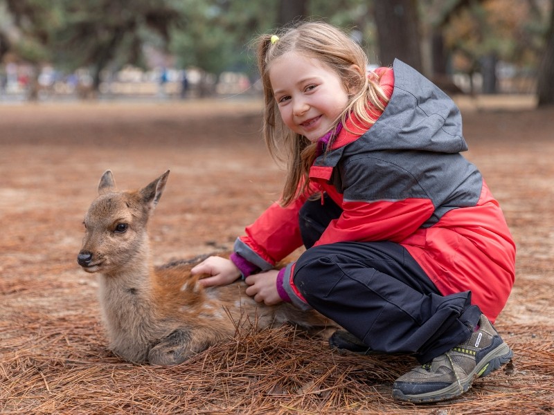 Van Osaka naar Kamakura: Wolkenkrabbers, Japanse Alpen en strand