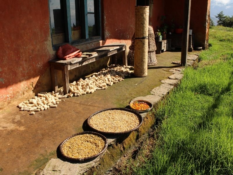 Nepal trekking &  jungle safari