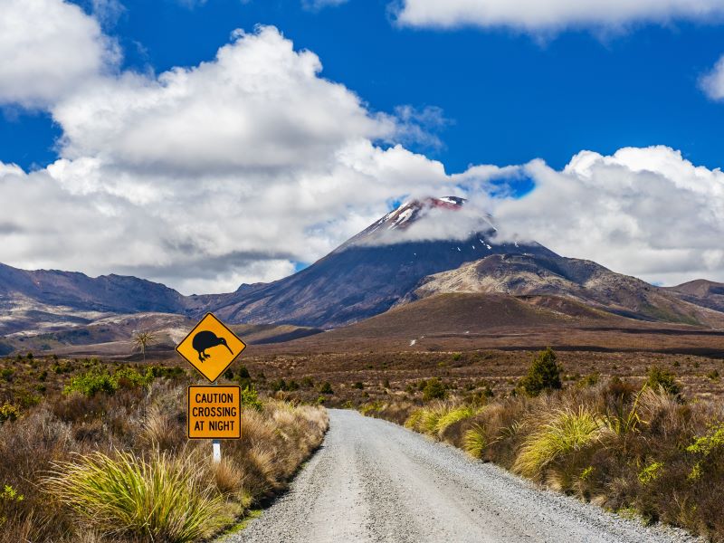 Van kiwiland tot palmenstrand