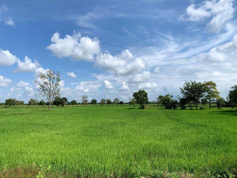 Betoverende tempels, jungle vibes en een tropische toetje – Thailand en Cambodja
