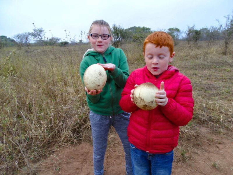 Highlights Namibië & Botswana