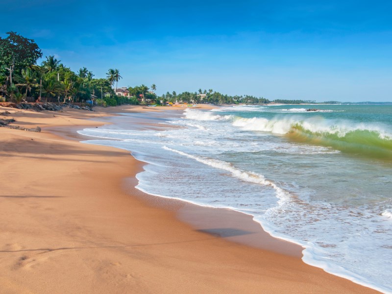 Sri Lanka: natuur en wildlife rondreis