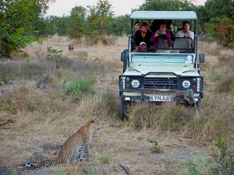 Het beste van Botswana