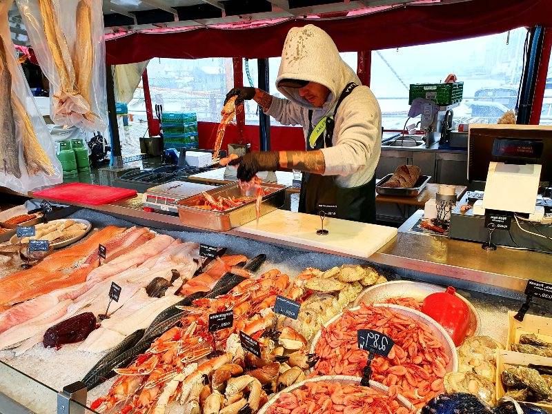 Met de boot, bus en trein door Noorwegen