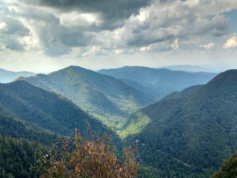 Van de Big Apple naar de Bayou