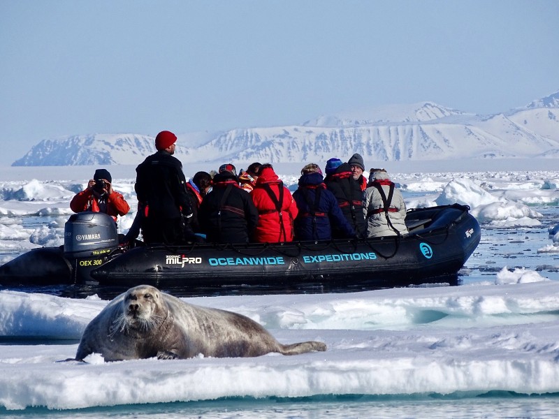 Spitsbergen Expeditie Cruise: ijsberen spotten op het pakijs