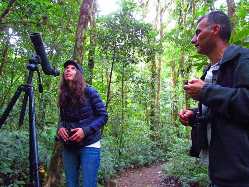 Hoogtepunten Costa Rica in 2 weken