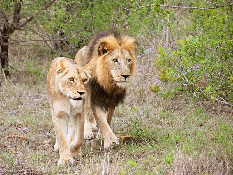 Avontuurlijk Zuid-Afrika