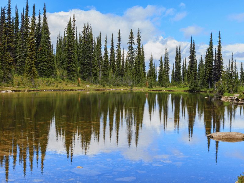 River floaten in Mount Revelstoke National Park