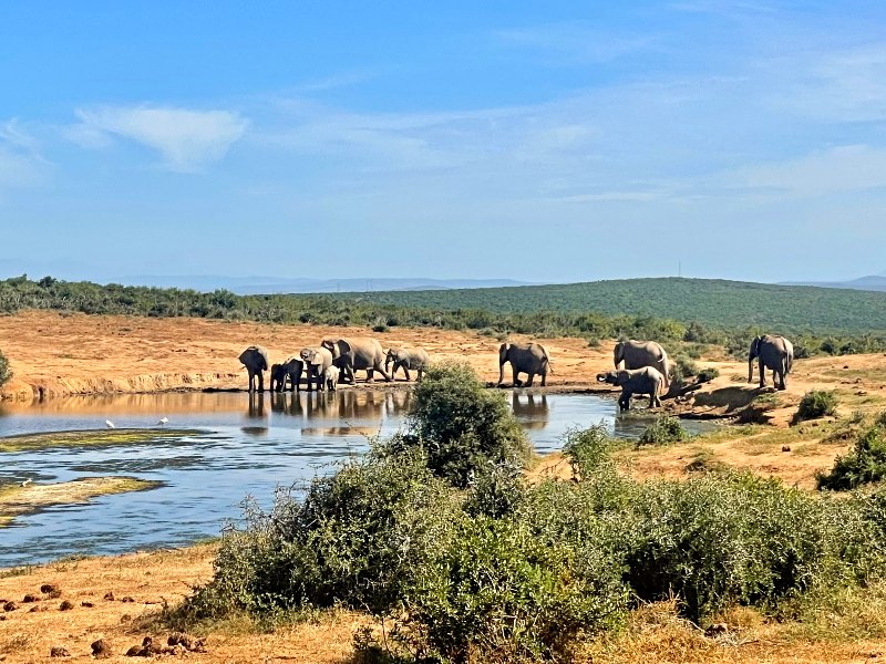 Go Zuid-Afrika in 3 weken