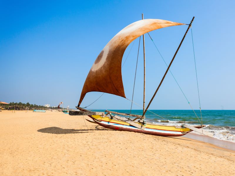 Sri Lanka in een (kokos)notendop