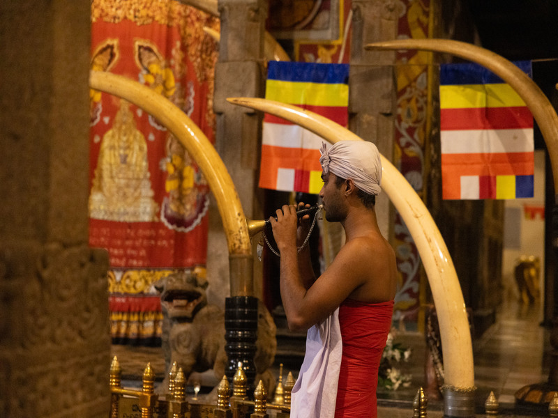 No worry Ceylon curry