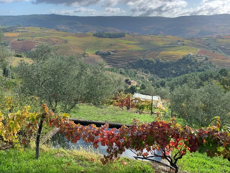 7 daagse  Portugal – Dourovallei