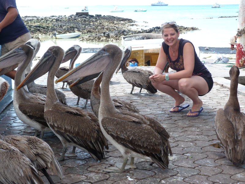 Víva Ecuador y Galapagos