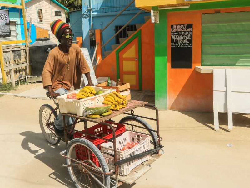Van Maya rituelen naar reggae vibe