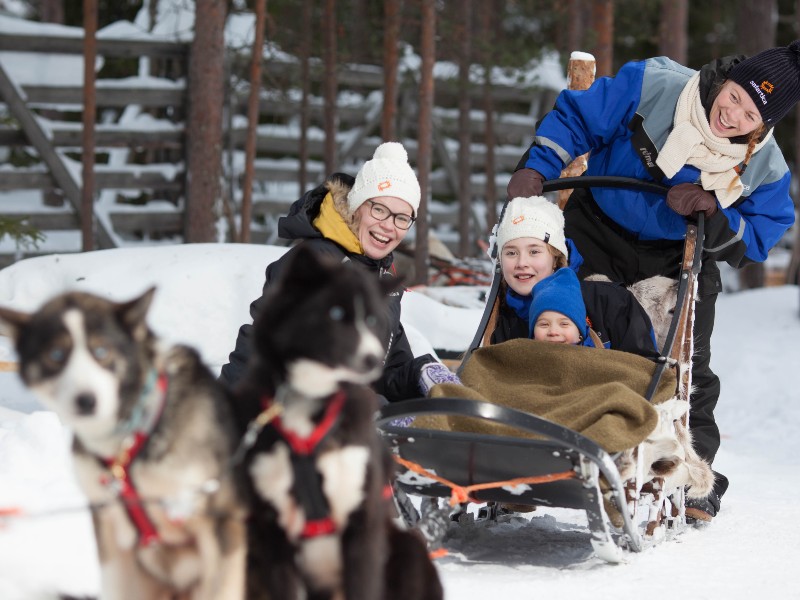 Levi & Ylläs: in de wildernis van Fins Lapland
