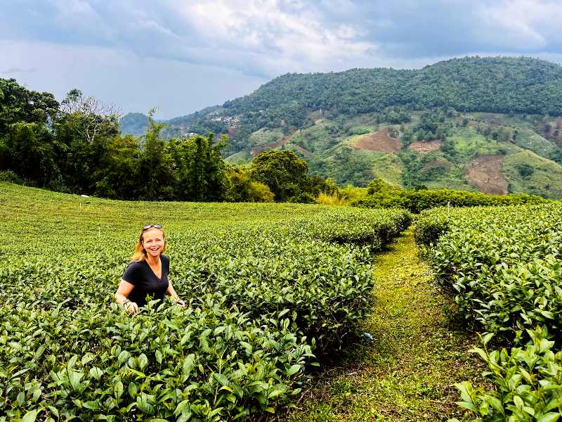 Thailand en Laos combireis: van Mekong tot de Hmong