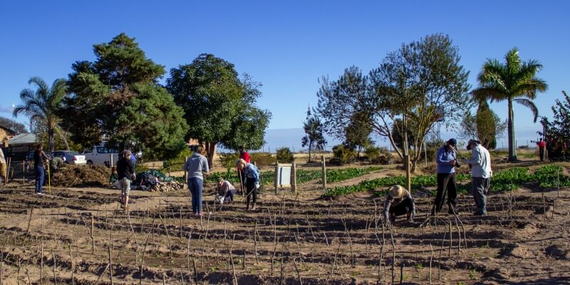 Kruger Research and Conservation