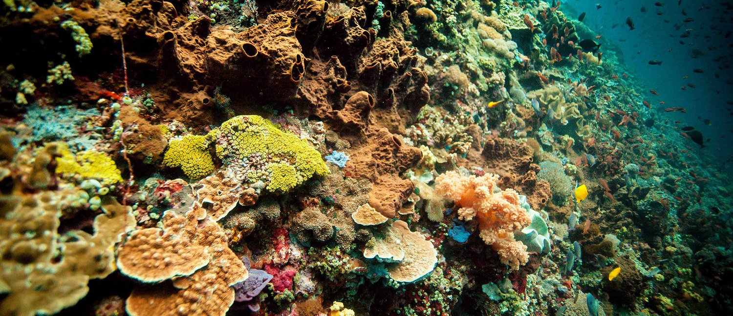 Rondreis 16 dagen midden en oost Java en Bali – Cultuur en avontuur