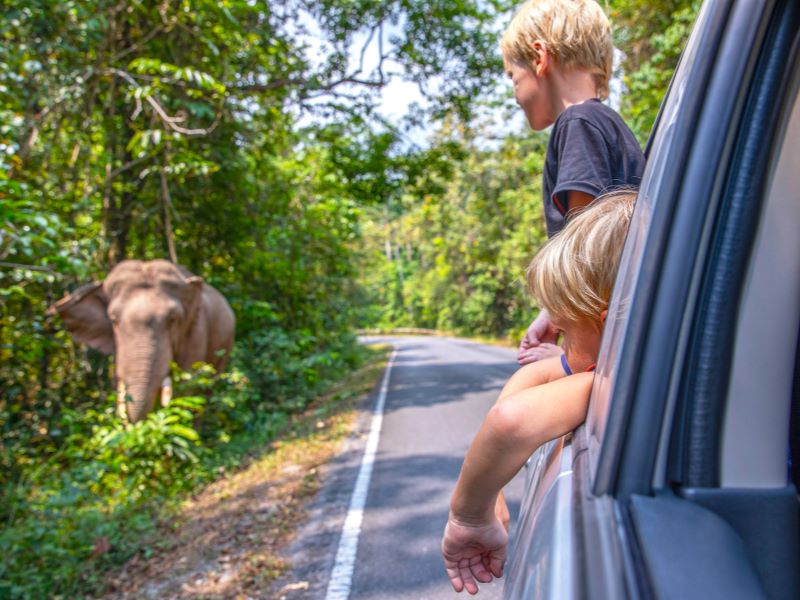 Betoverende tempels, jungle vibes en een tropische toetje – Thailand en Cambodja