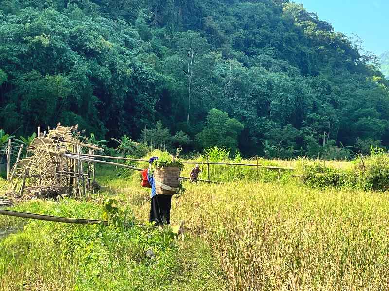 Last minute Vietnam