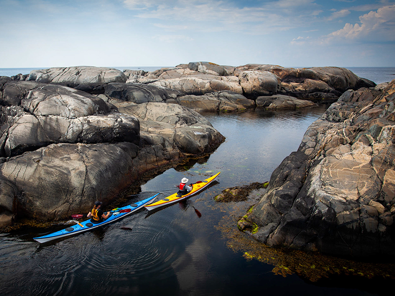 Riksja’s Choice: highlights Zweden