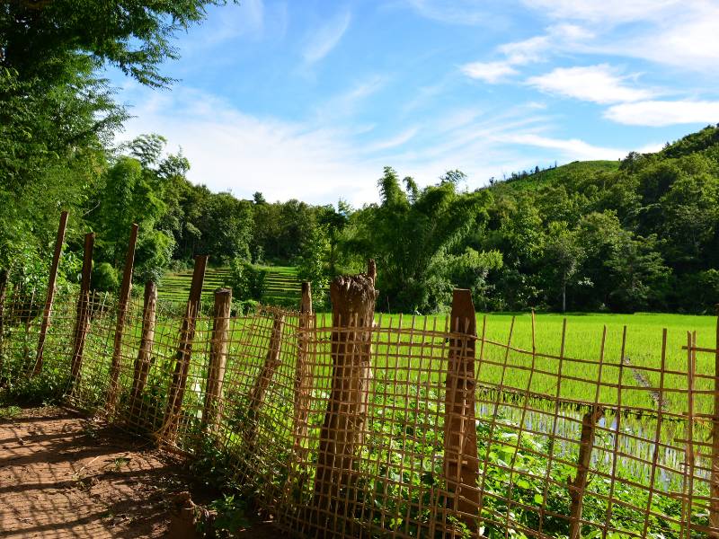 Thailand en Laos combireis: van Mekong tot de Hmong