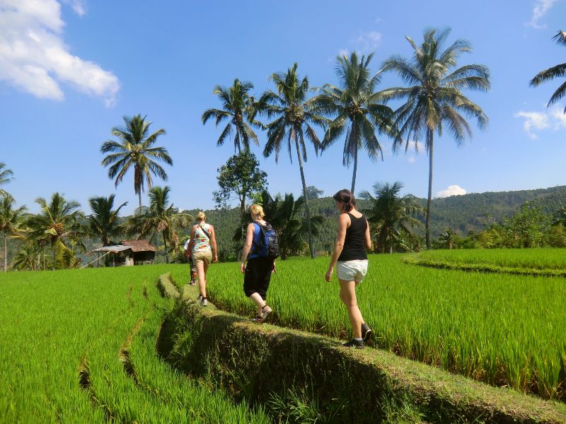 Slingerapen, fietstaxi’s en tempelwachters – door Sumatra, Java en Bali