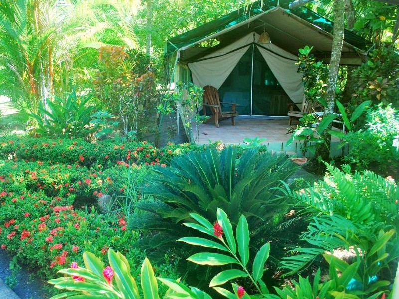 Pura vida Costa Rica