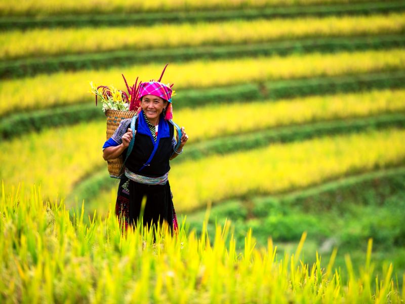 Rondreis Vietnam in 4 weken