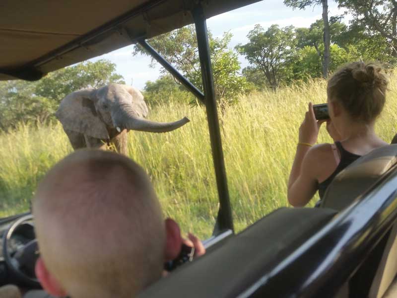 De Big-5 Zuid-Afrika familiereis