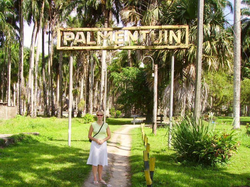 Hoogtepunten in Suriname