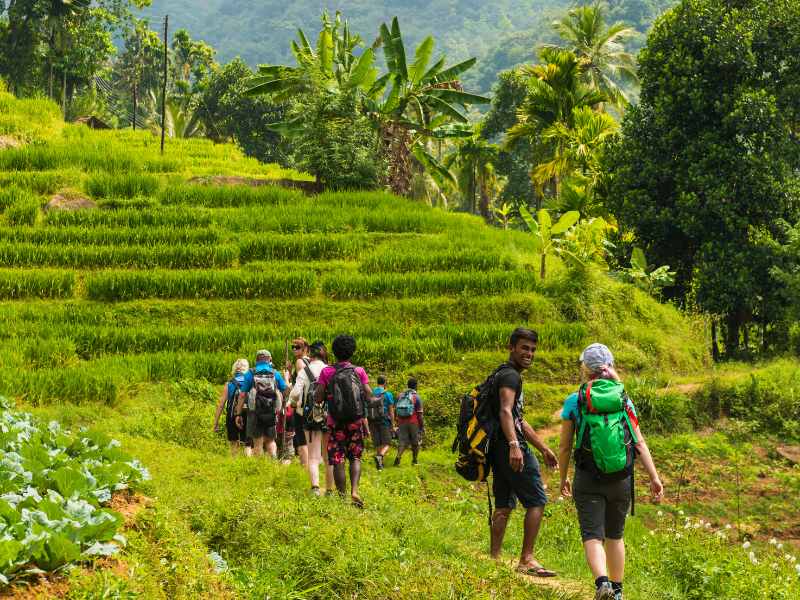 Sri Lanka: Onze keuze