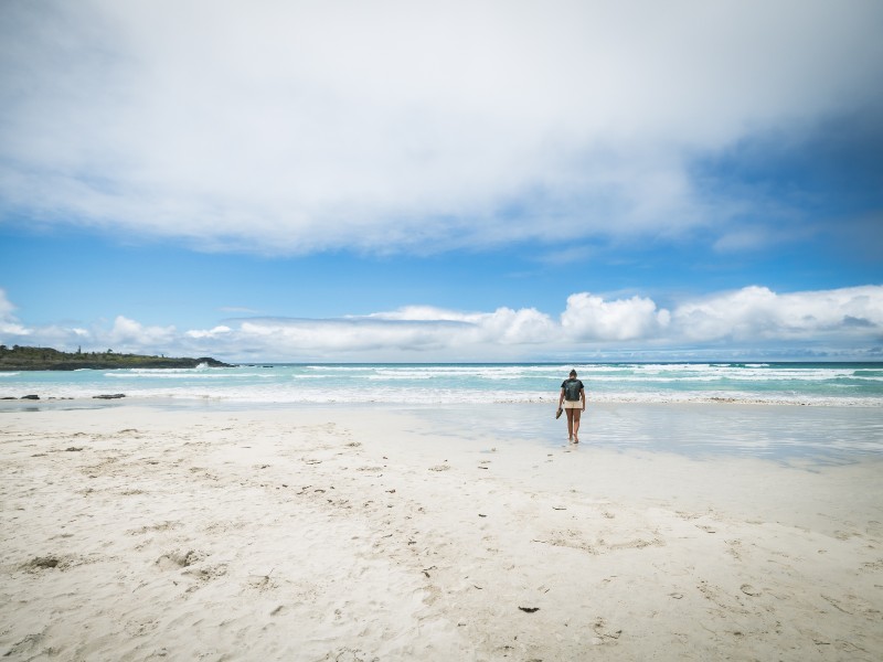 Víva Ecuador y Galapagos