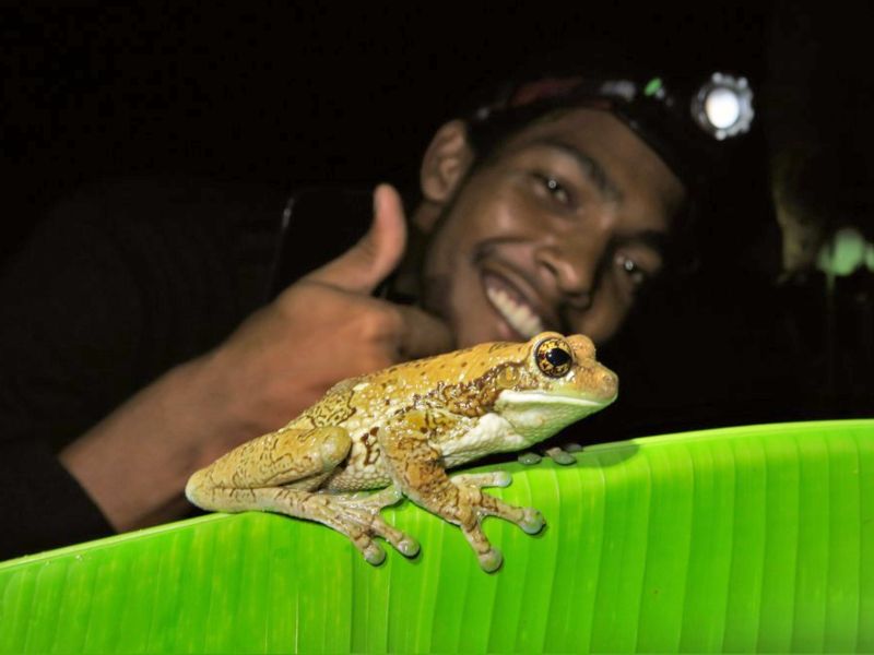 Hoogtepunten in Suriname