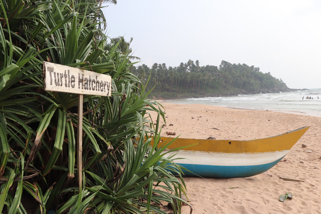 Vrijwilligerswerk in Galle