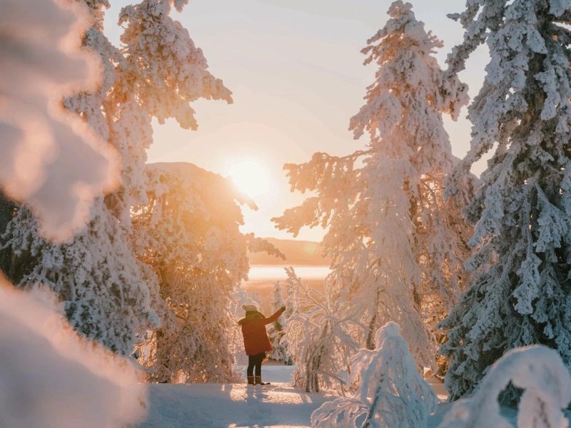 Levi & Ylläs: in de wildernis van Fins Lapland