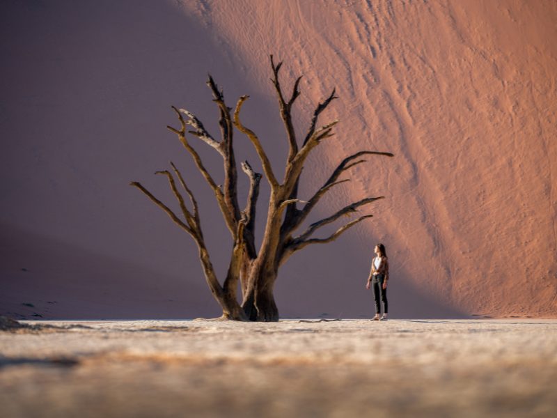 Van Kaapse kusten naar niemandsland in Namibië