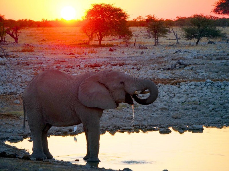 Namibië familiereis
