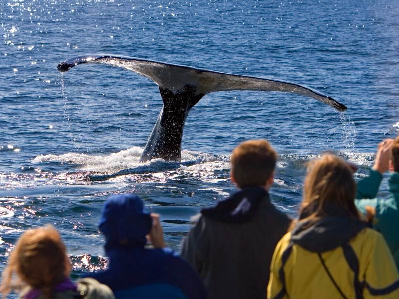 Op die pad Suid Afrika – zomerspecial