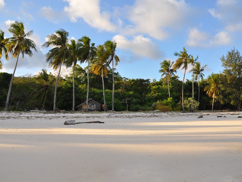 Sulawesi en Bali – Sawa’s, rituelen en snorkelstranden