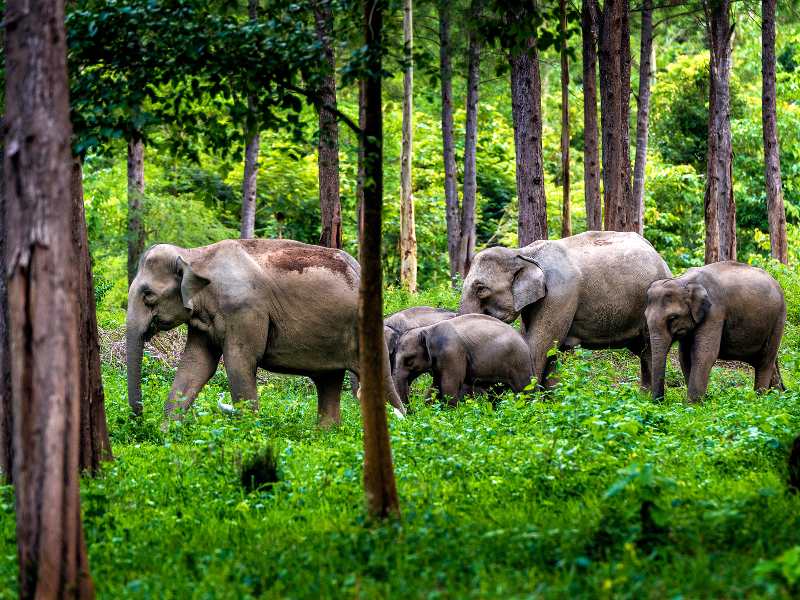 Het onbekende Thailand en Laos