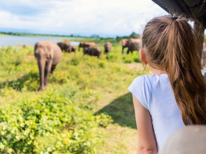 Sri Lanka on a shoestring