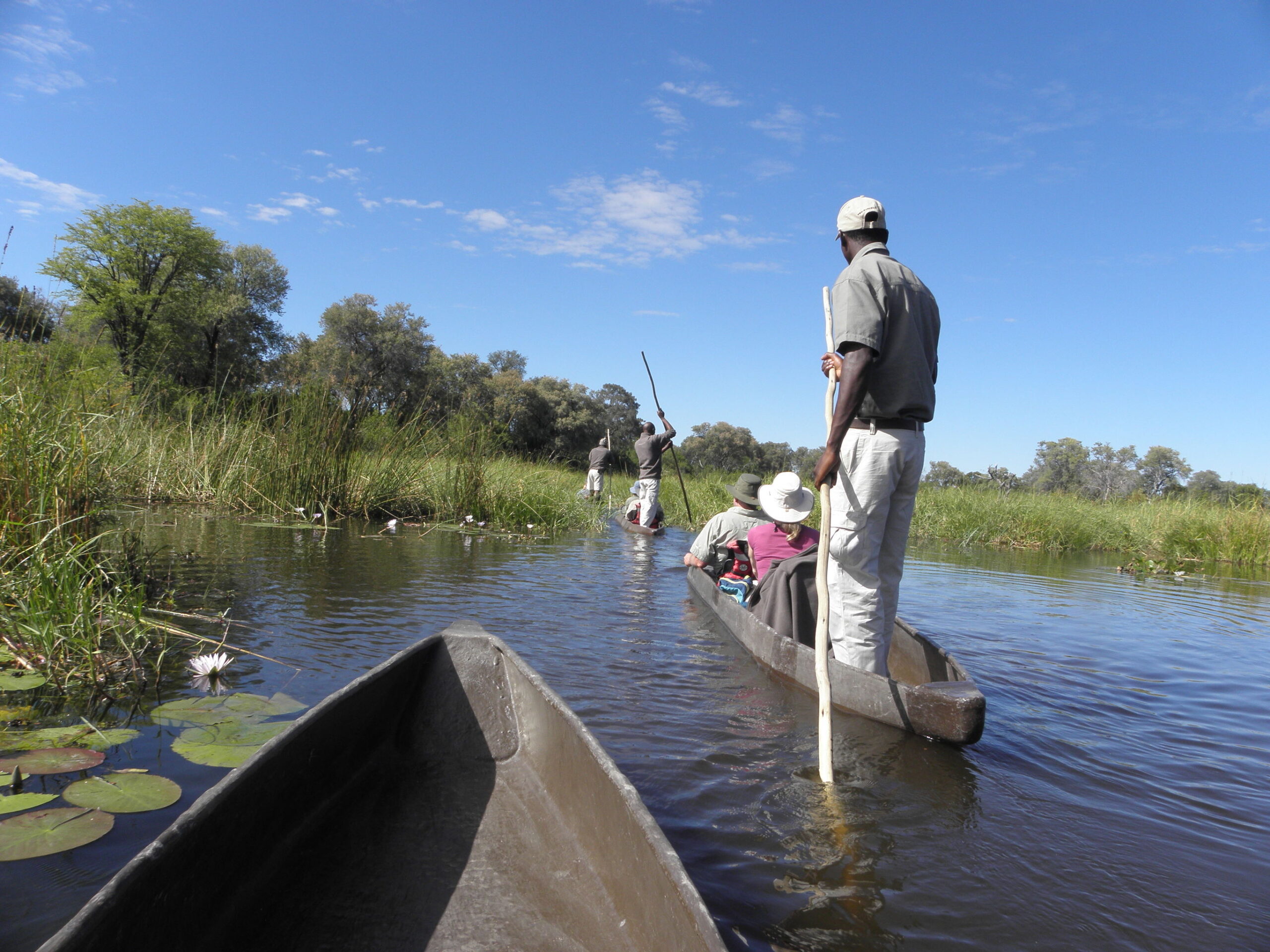 Kalahari en Okavango safari
