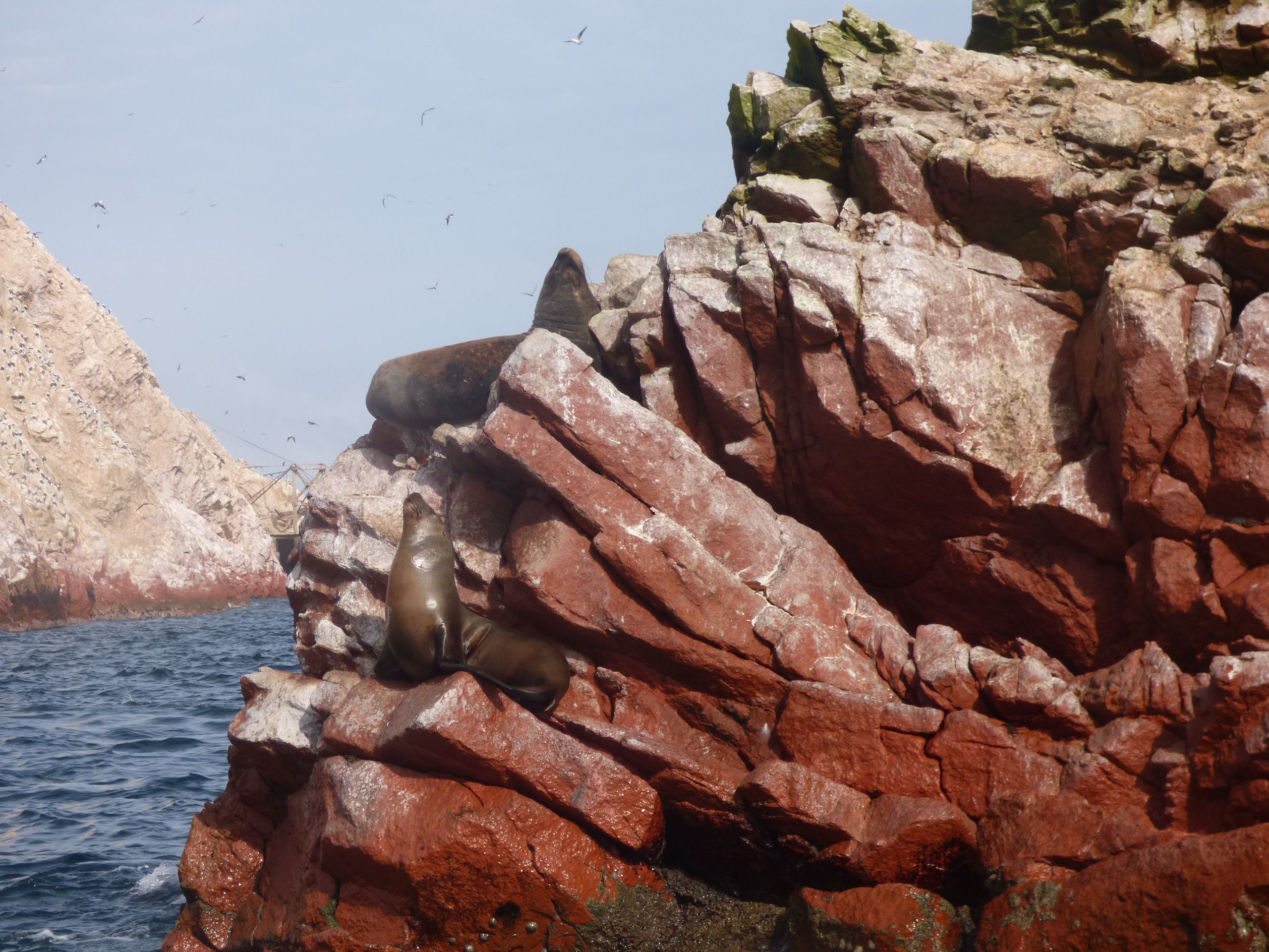 Hoogtepunten van Peru