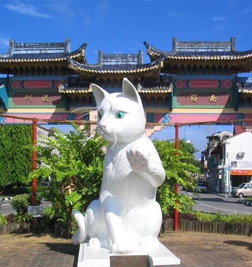 Neusapen, vliegers en bountystrand