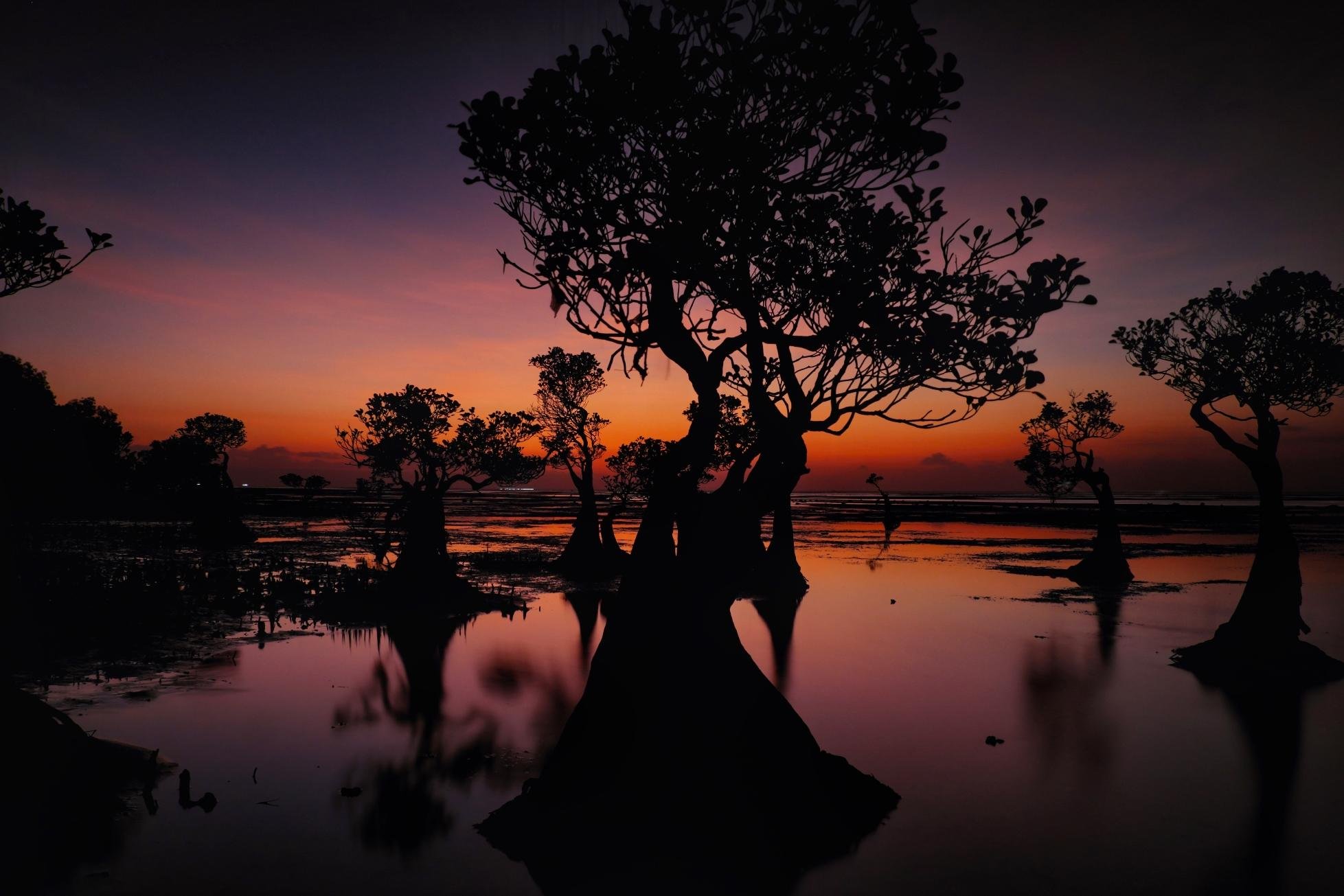 Bouwsteen 5 dagen Sumba Experience