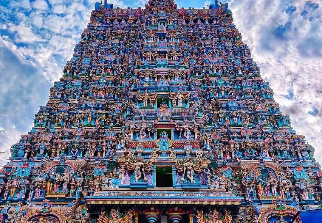 Actief door het dynamische zuiden